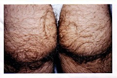 http://www.bottomlines.co.uk/phpalbum/blphotos/whacker/ww170/hairybutt.jpg